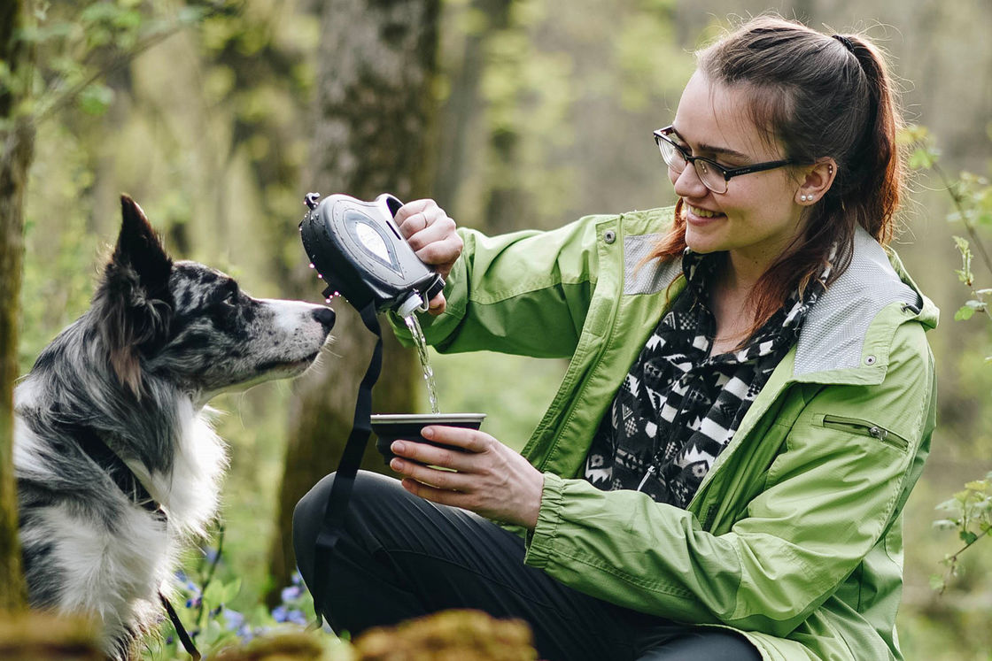 এন্টি টুইস্ট Collapsible Dog Leash Water Bottle ABS Plastic
